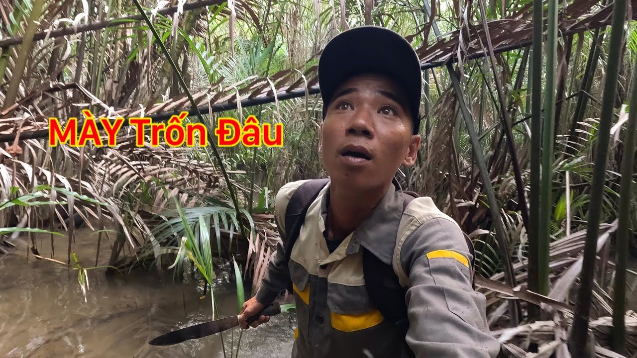 CHẲNG LẼ HÔM NAY LÀ SỰ THẬT ĐẾN KHU RỪNG THƯƠNG BINH MỘT MÌNH TRUY TÌM NHỮNG TỔ ONG