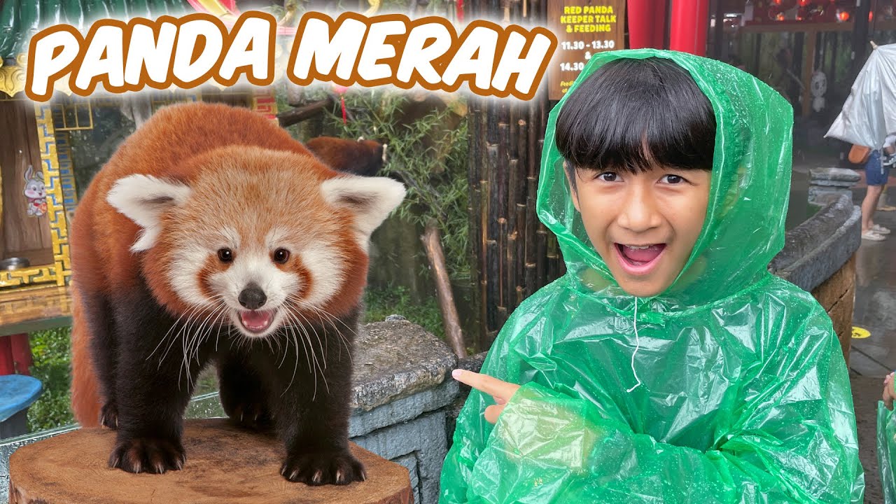 Ke Taman Safari Part 2 - Superduper Ziyan