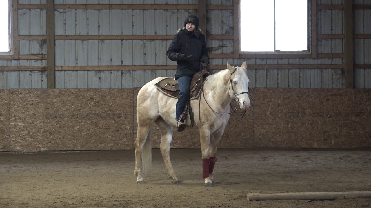 Training session part 1: ground poles