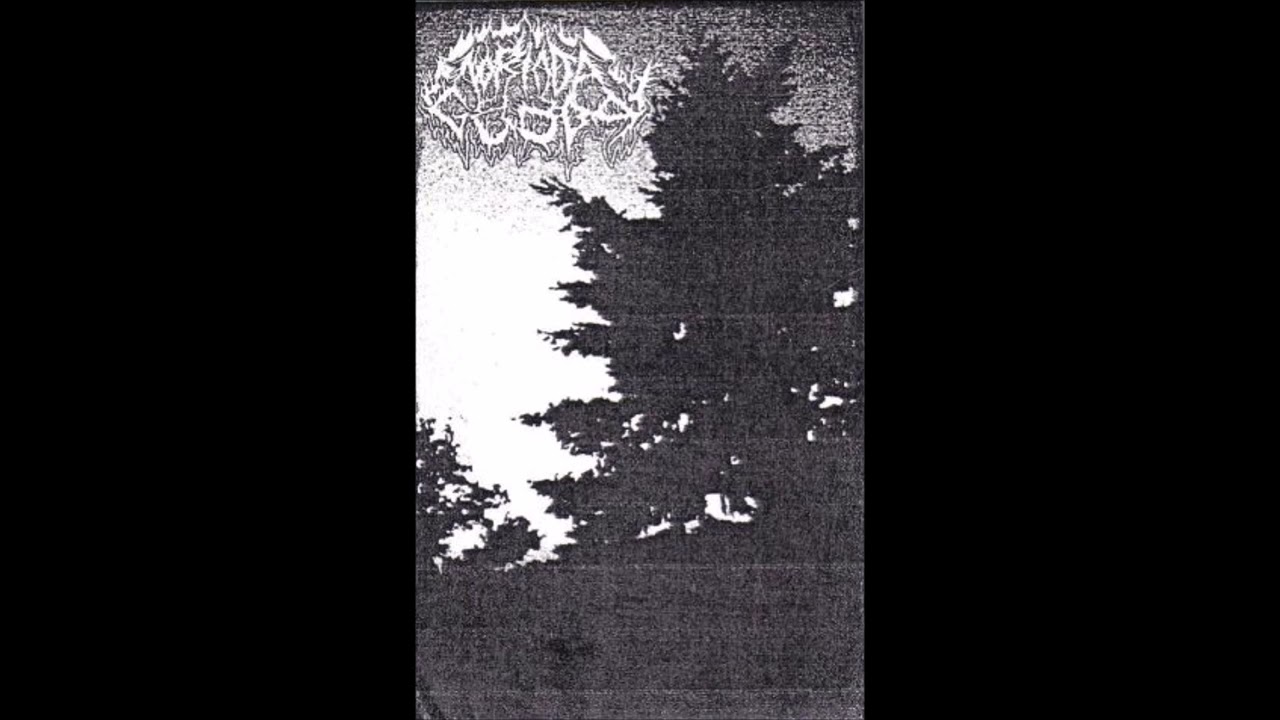 Nortada Gelada - Viriato