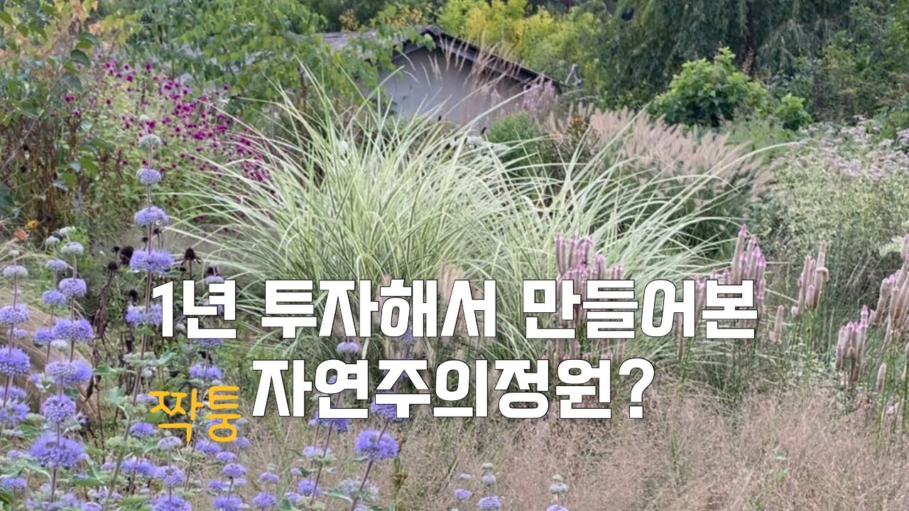 1년 투자해서 만들어본 숙근초&그라스 정원