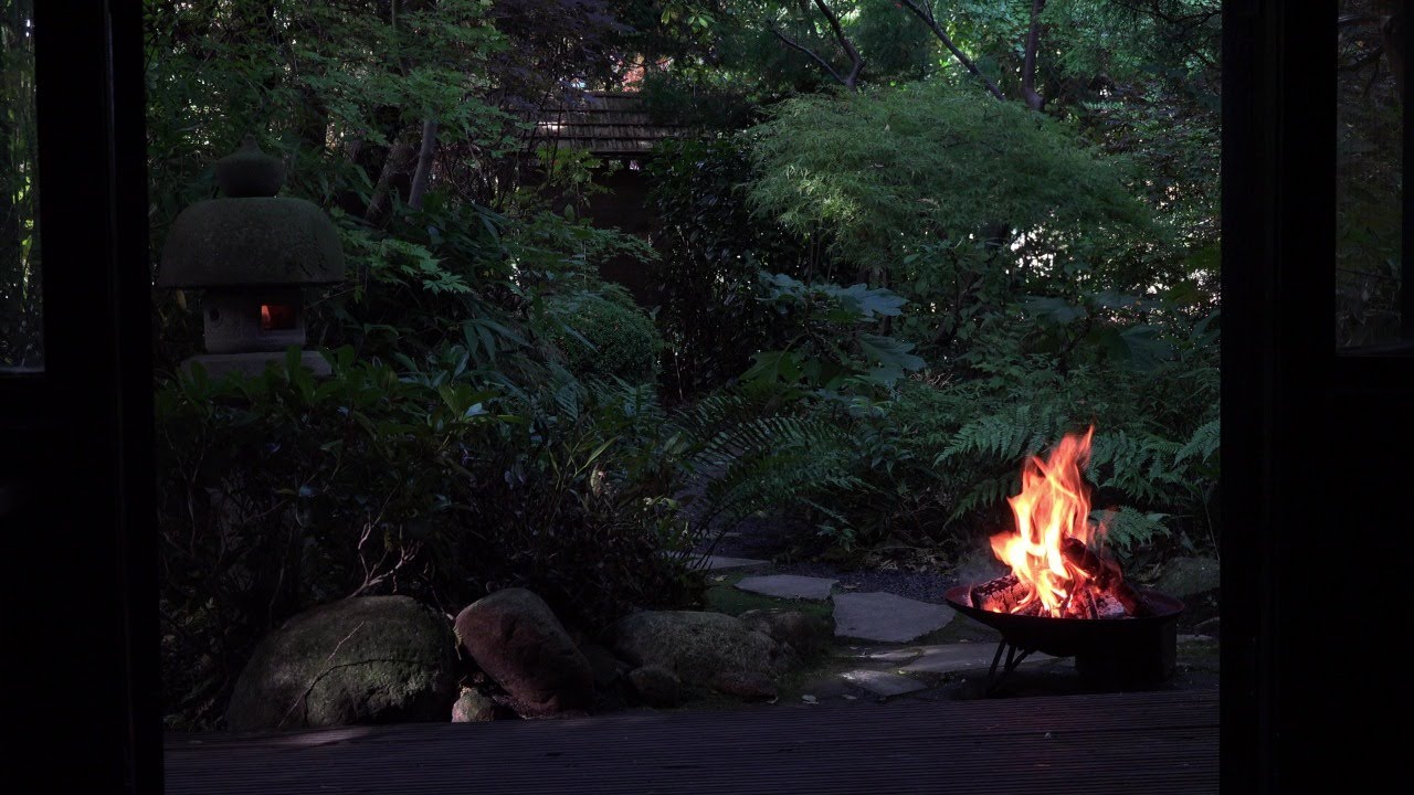 Peaceful View of Japanese Garden with Relaxing Fire Bowl and Bird Sounds (Quarantine TV)