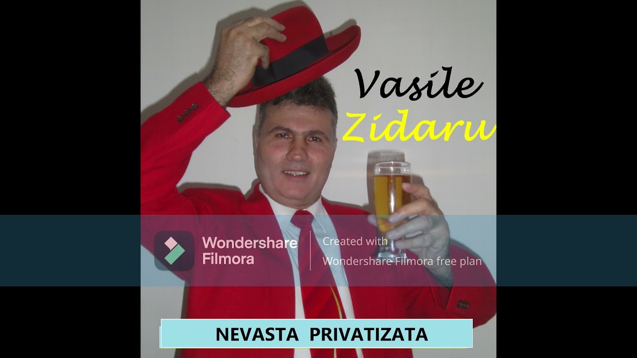 VASILE ZIDARU - NEVASTA PRIVATIZATA-PARODIE