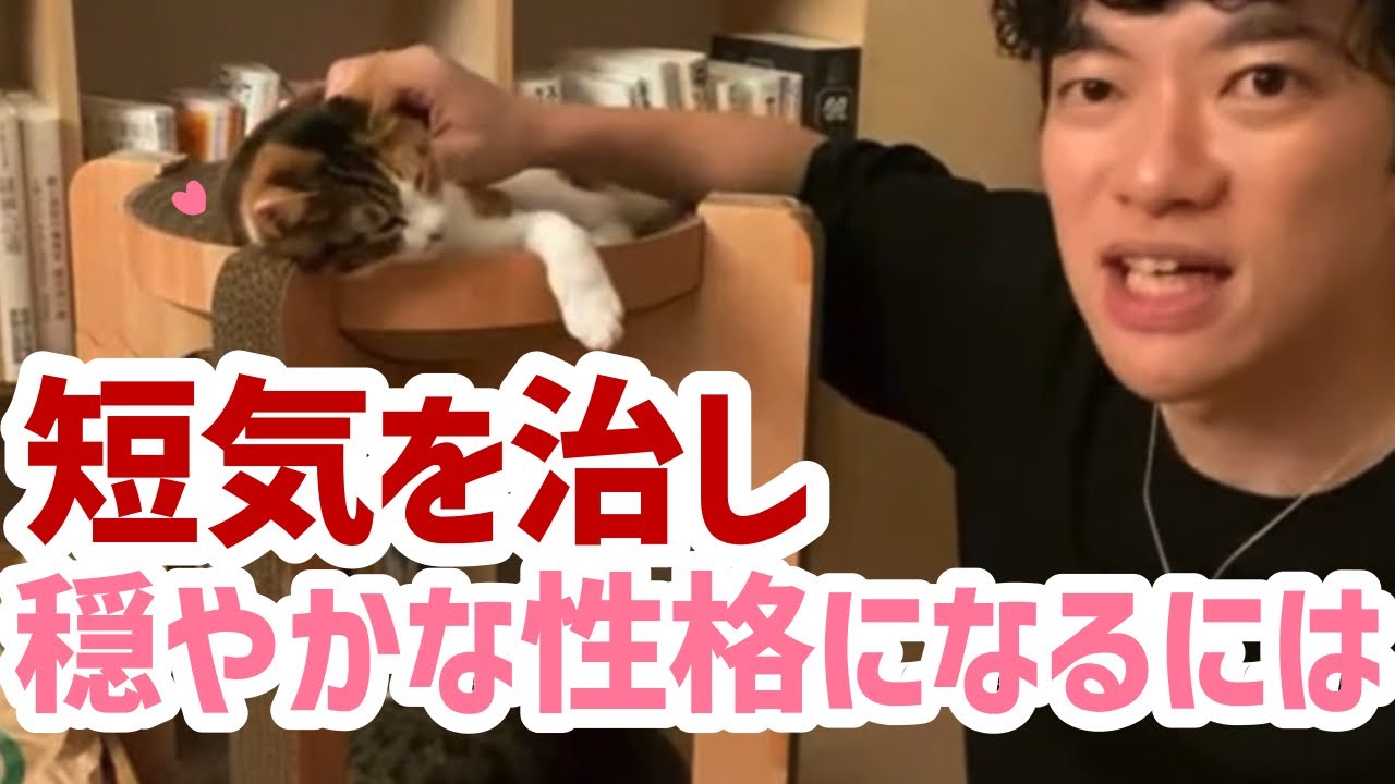 【DaiGo】短気を治し穏やかな性格になるには？【切り抜き】