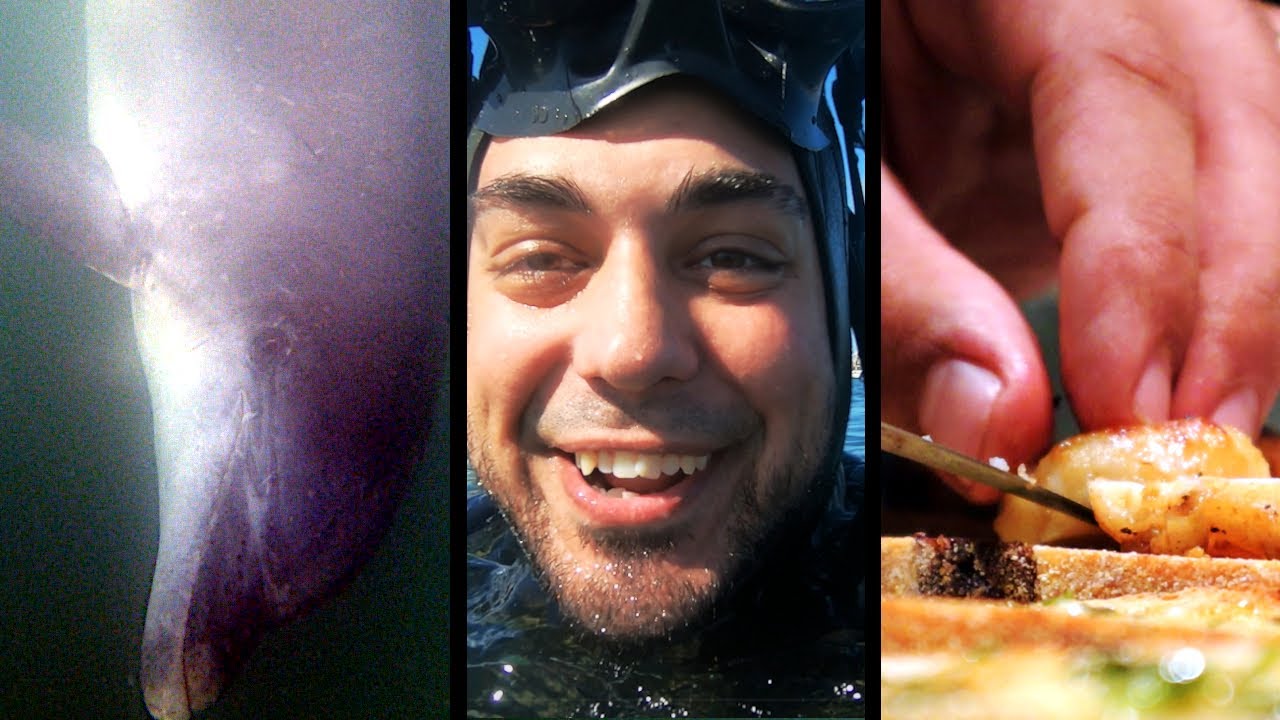 SORPRESA nel BUIO (delfino enorme)  - Pescato Cotto e Mangiato - PescaSub in INGHILTERRA 2020 -