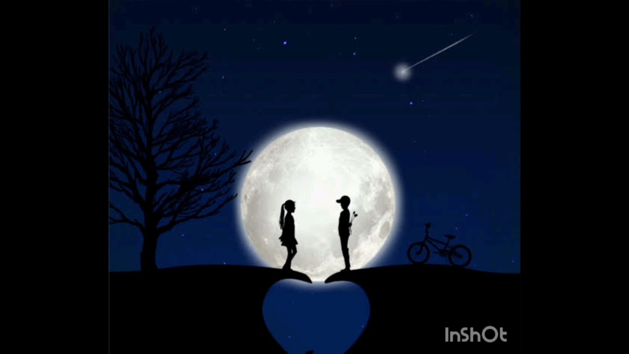 طاقه الهارب ⁉️ مشتاق جدا ❤️بس قاسي قوي ⁉️🤔ورجوعه للمطارد المتشافي ❤️