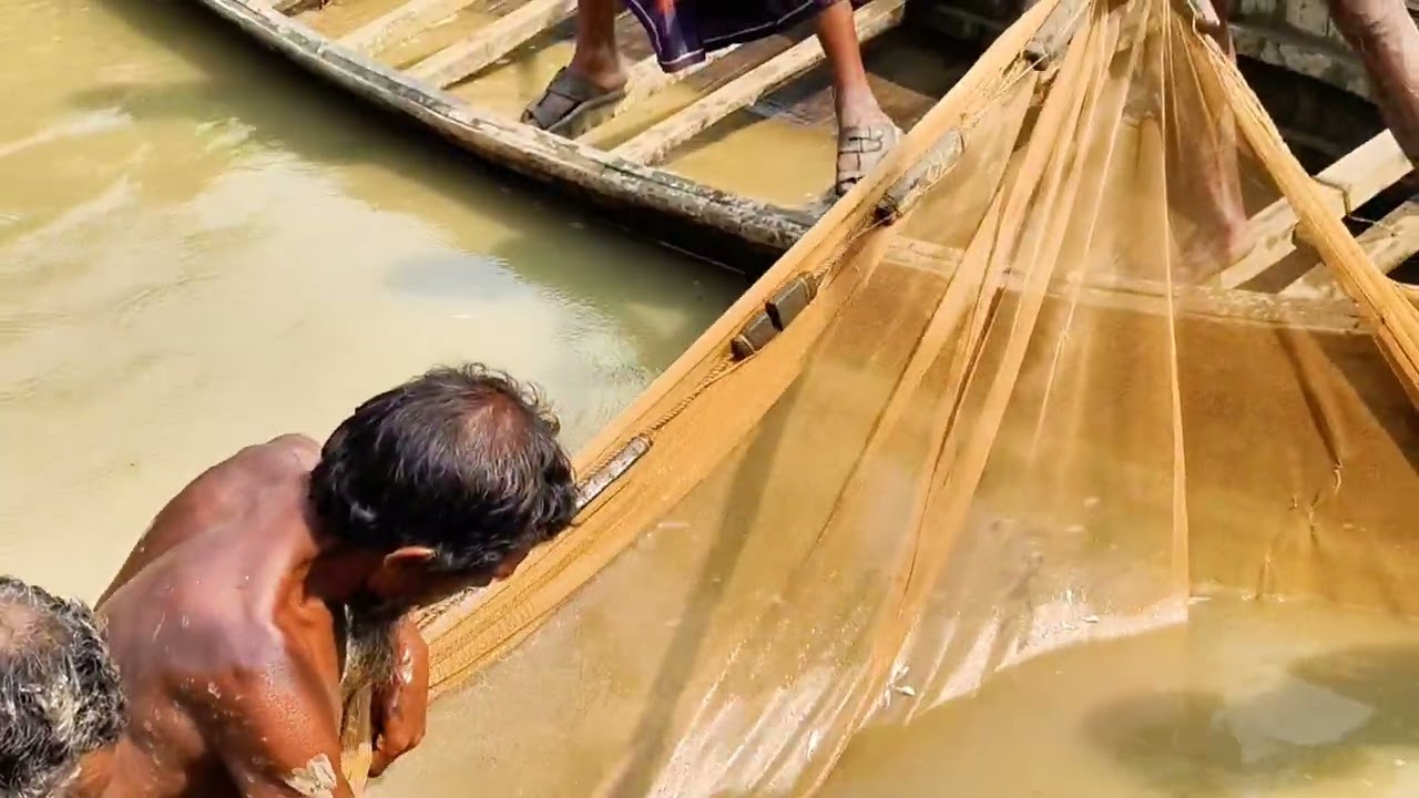 কংশ নদীর মাছ। Kongsho Nodir Mach 2026