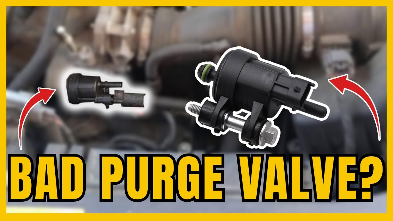 6 SYMPTOMS OF A BAD PURGE VALVE | Signs Purge Valve is BAD