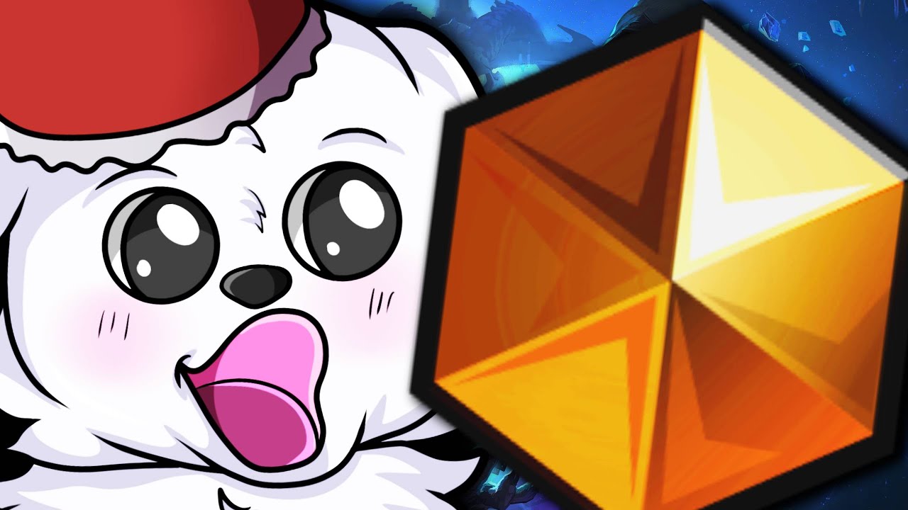 THE CUTE DOG IS BACK