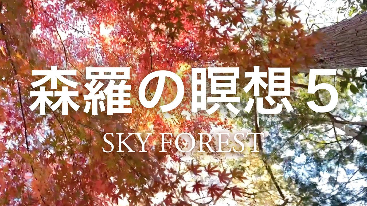 ＜森羅の瞑想５＞ ピアノ &映像 ウォン・ウィンツァン（2022/4/10 下北沢ハーフムーンホール）