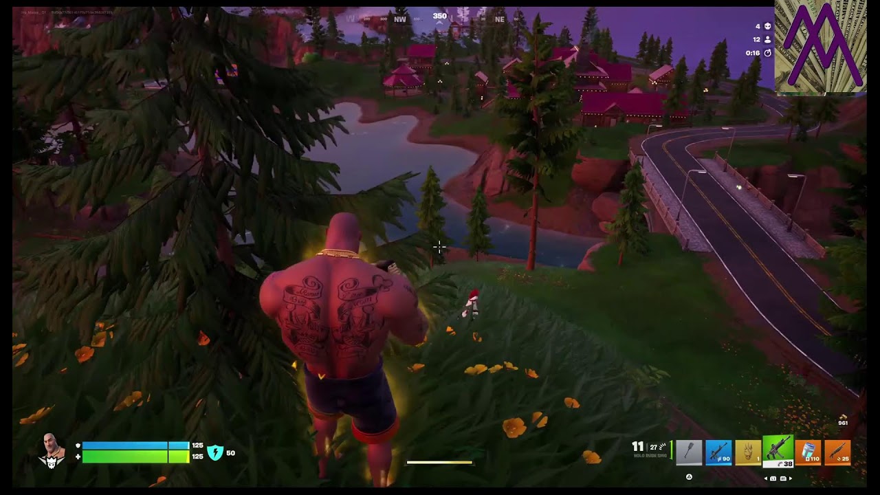 Playing Fortnite