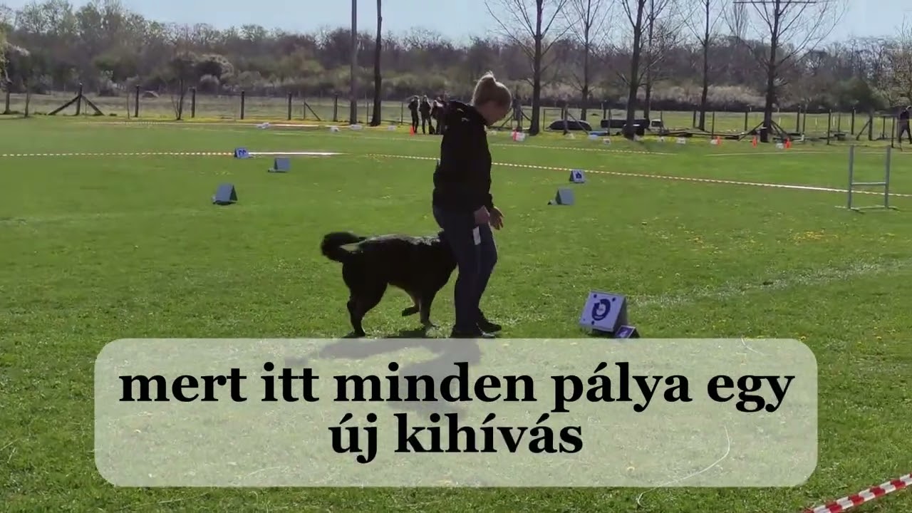FIDELA Rally obedience