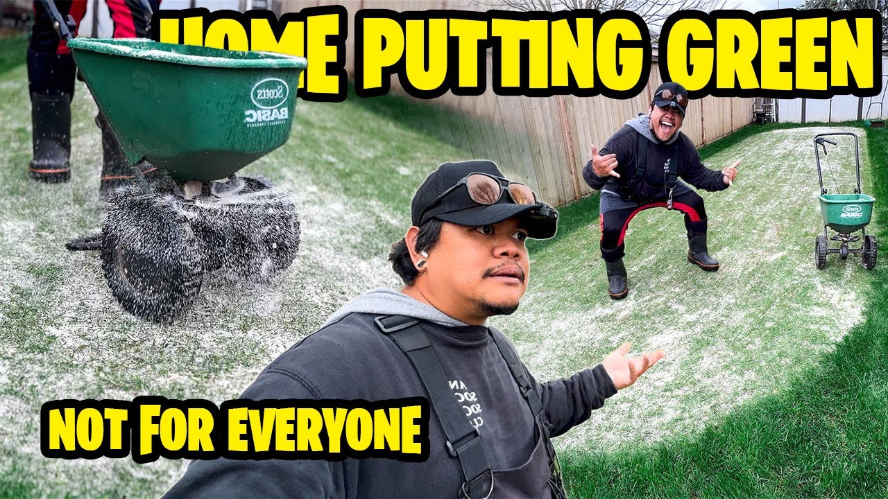 REAL at home PUTTING GREEN might not be for you ~ Early Spring CREEPING BENTGRASS MAINTENANCE!