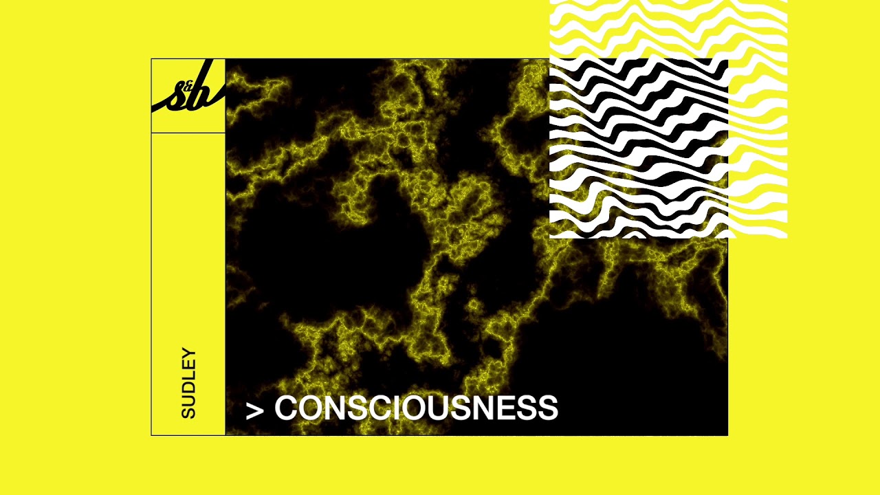 Sudley - Consciousness