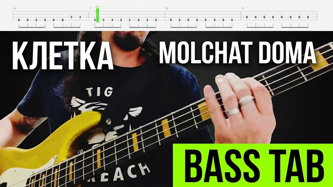 Клетка Molchat Doma Bass Cover Tab Albert Lemos