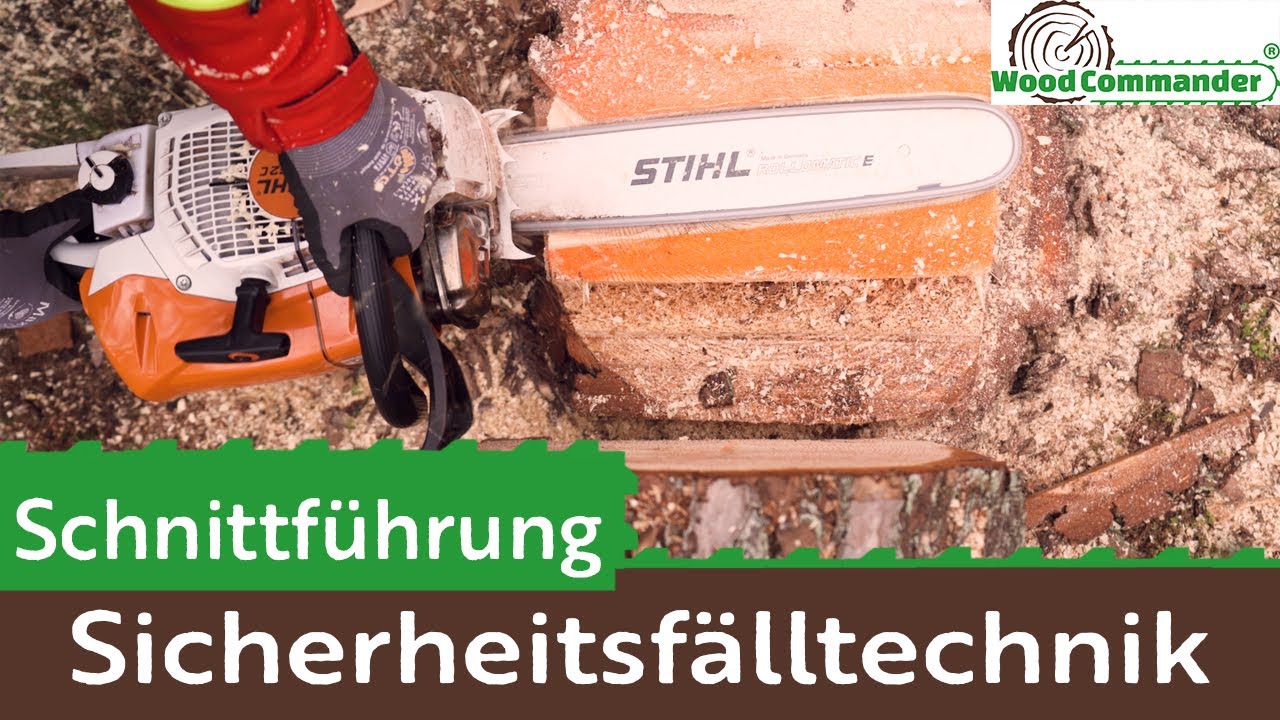 Schnittf&uuml;hrung Sicherheitsf&auml;lltechnik