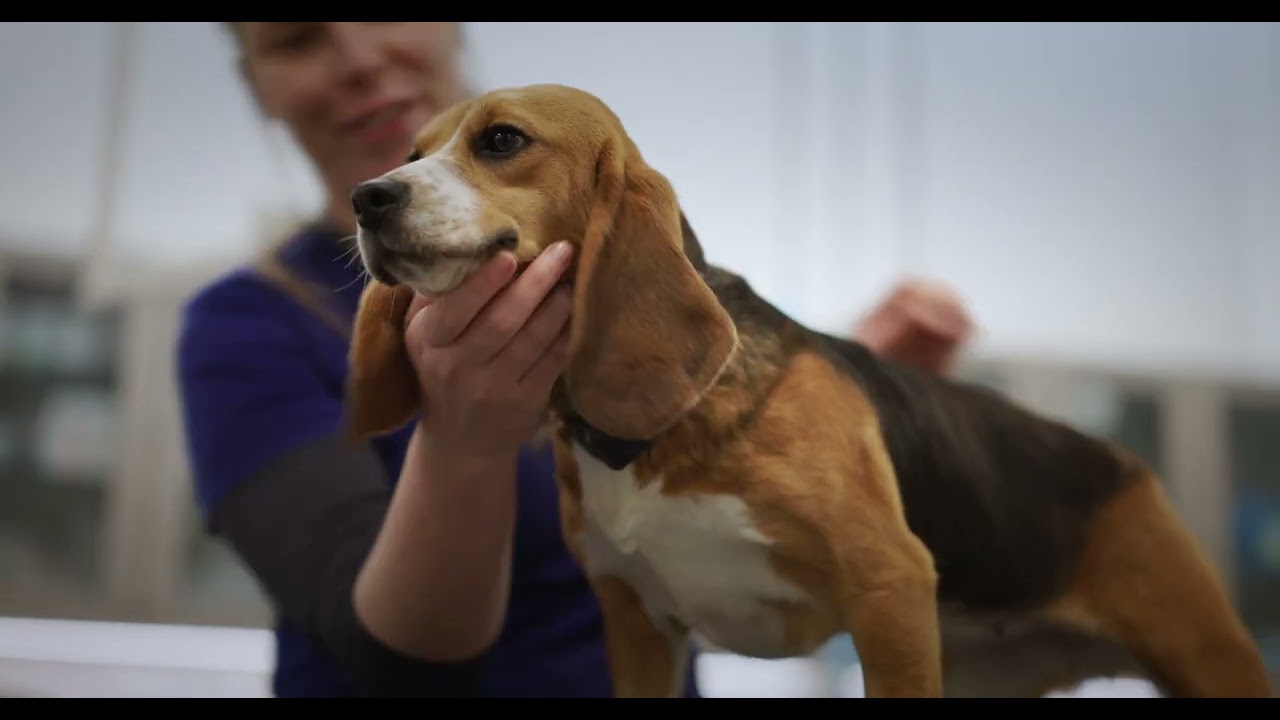 Inside Hill's Pet Nutrition: A Tour of Our Global Innovation Center
