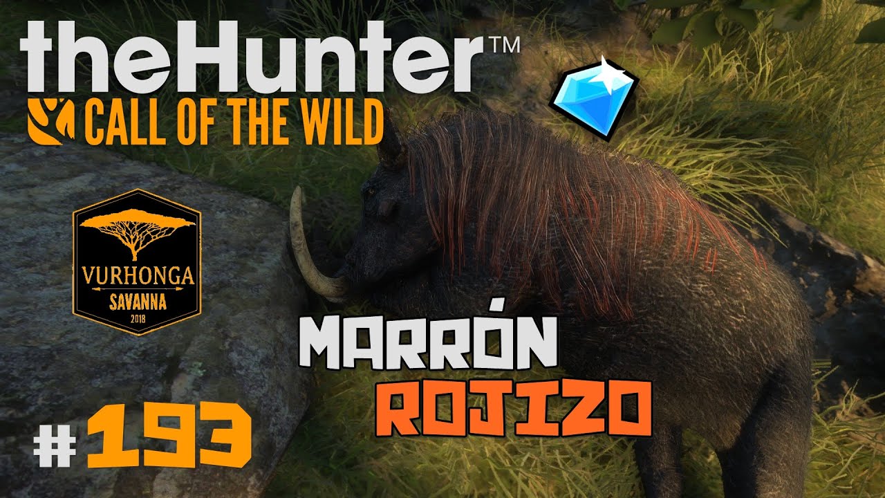 🦌theHunter: Call of the Wild #193 | FACÓQUERO MARRÓN ROJIZO DIAMANTE - SALAS DE TROFEO BUG?| Español