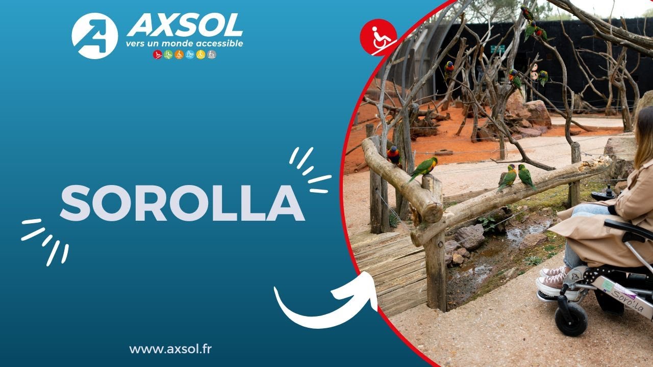 Fauteuil roulant électrique Sorolla - AXSOL