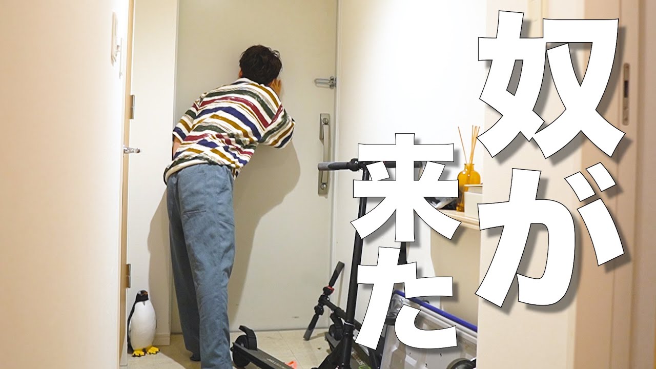 【報告】シェアメイトが増えました。