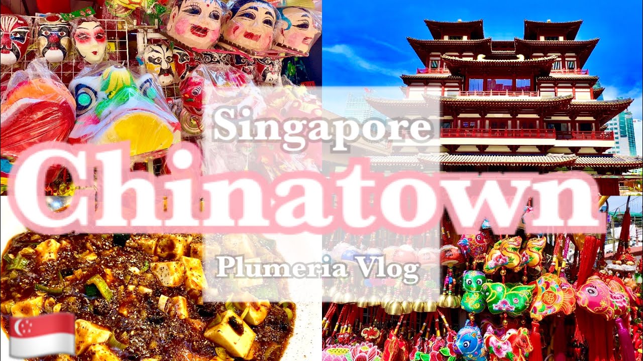 【放浪好き海外生活】シンガポールのチャイナタウンを駐妻が1日観光してみたら🇨🇳本場のグルメを堪能して激安マッサージへ🐼お土産もGET！ジブリの世界な寺院へ᯽᯽᯽Plumeria Vlog᯽᯽᯽