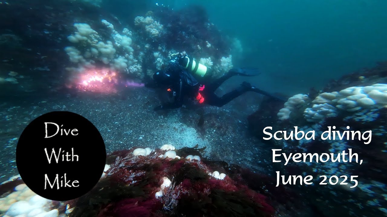 Scuba Diving Eyemouth June 2025