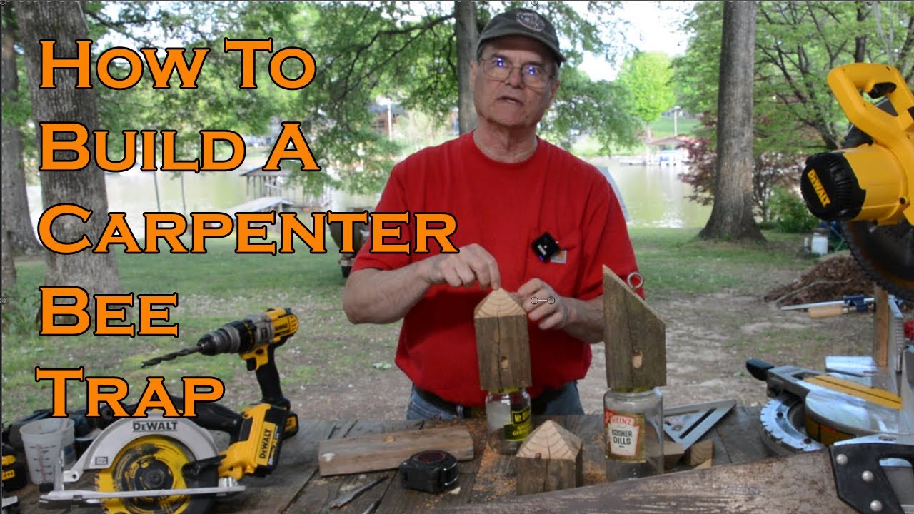 How To Build a Carpenter Bee Trap