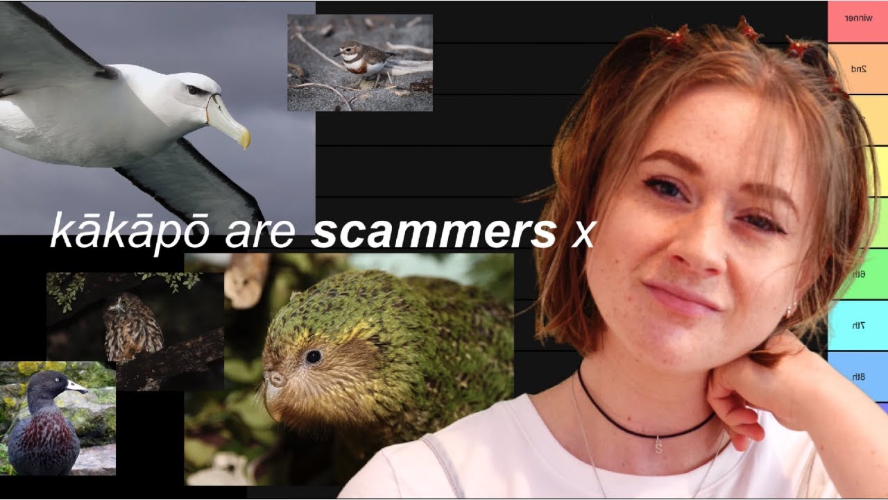 who really should have won bird of the year 2020?