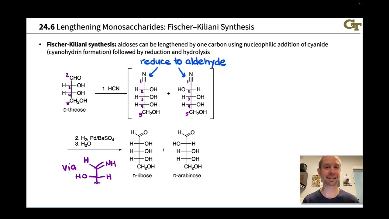 Fischer-Kiliani Synthesis and Wohl Degradation: Lengthening and Shortening Monosaccharides