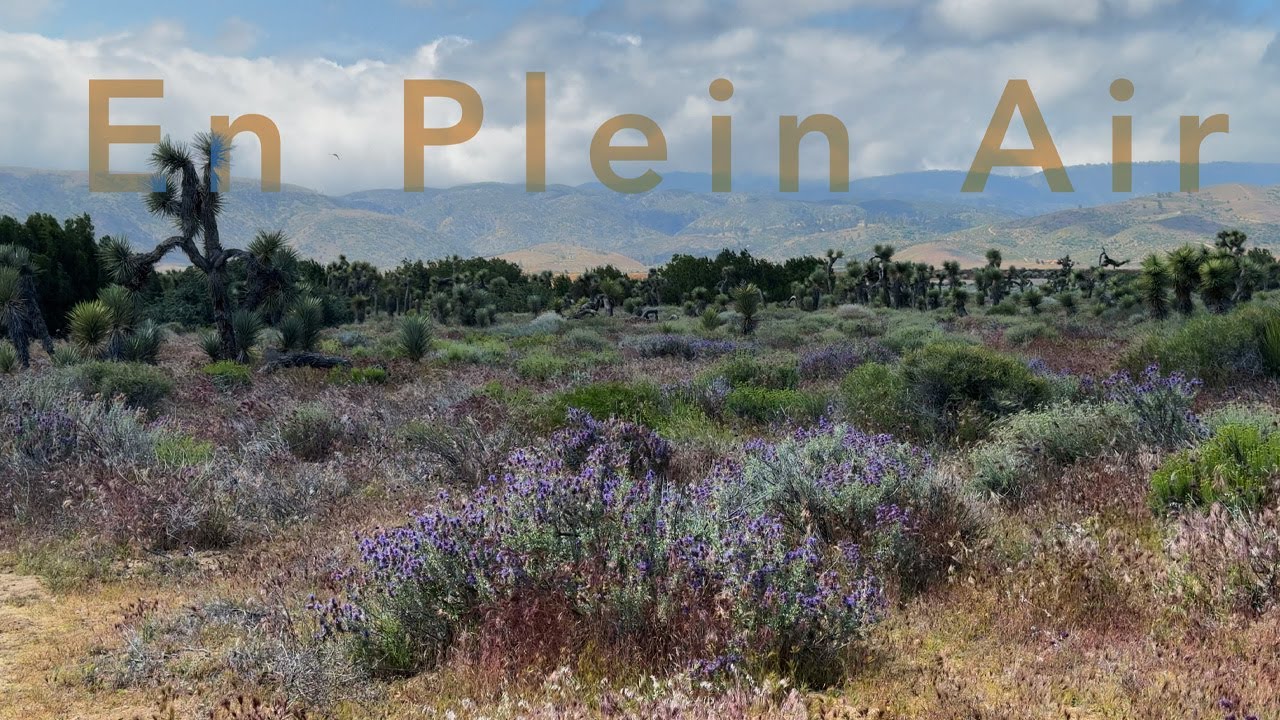 En Plein Air
