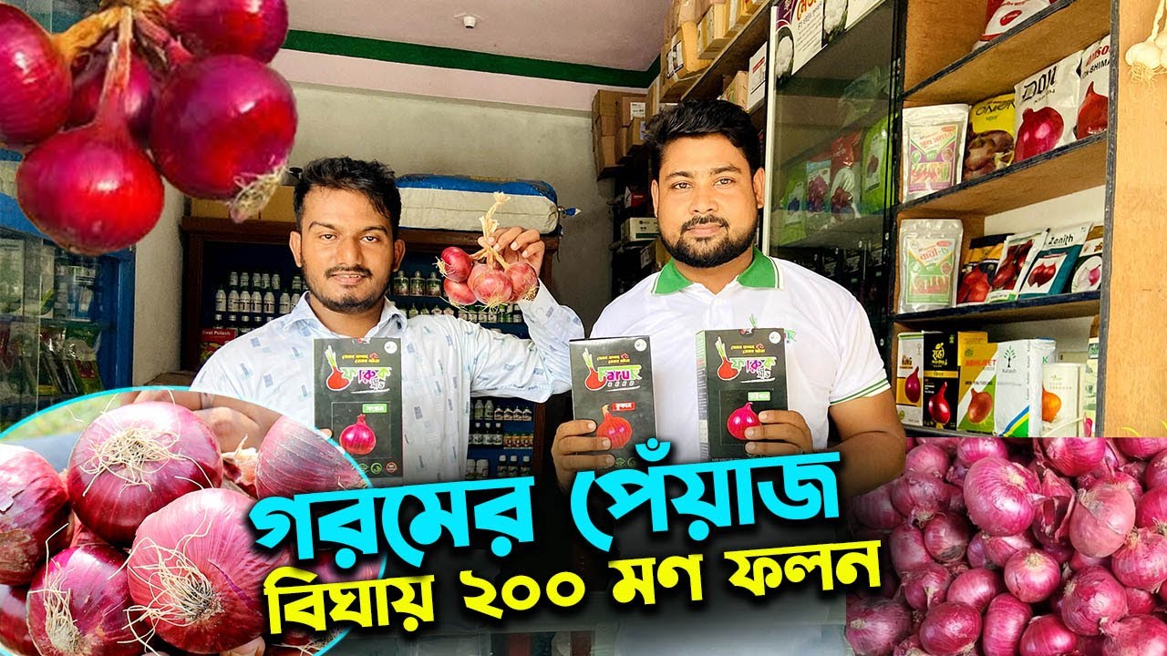 বিঘায় ২০০ মণ ফলনের গ্রীষ্মকালীন পেঁয়াজ চাষ করে কৃষক সফল | উদ্যোক্তার খোঁজে