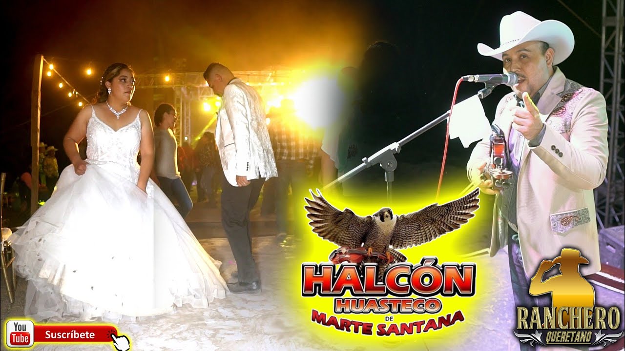 Halcon Huasteco en El Platano San Joaquin Qro