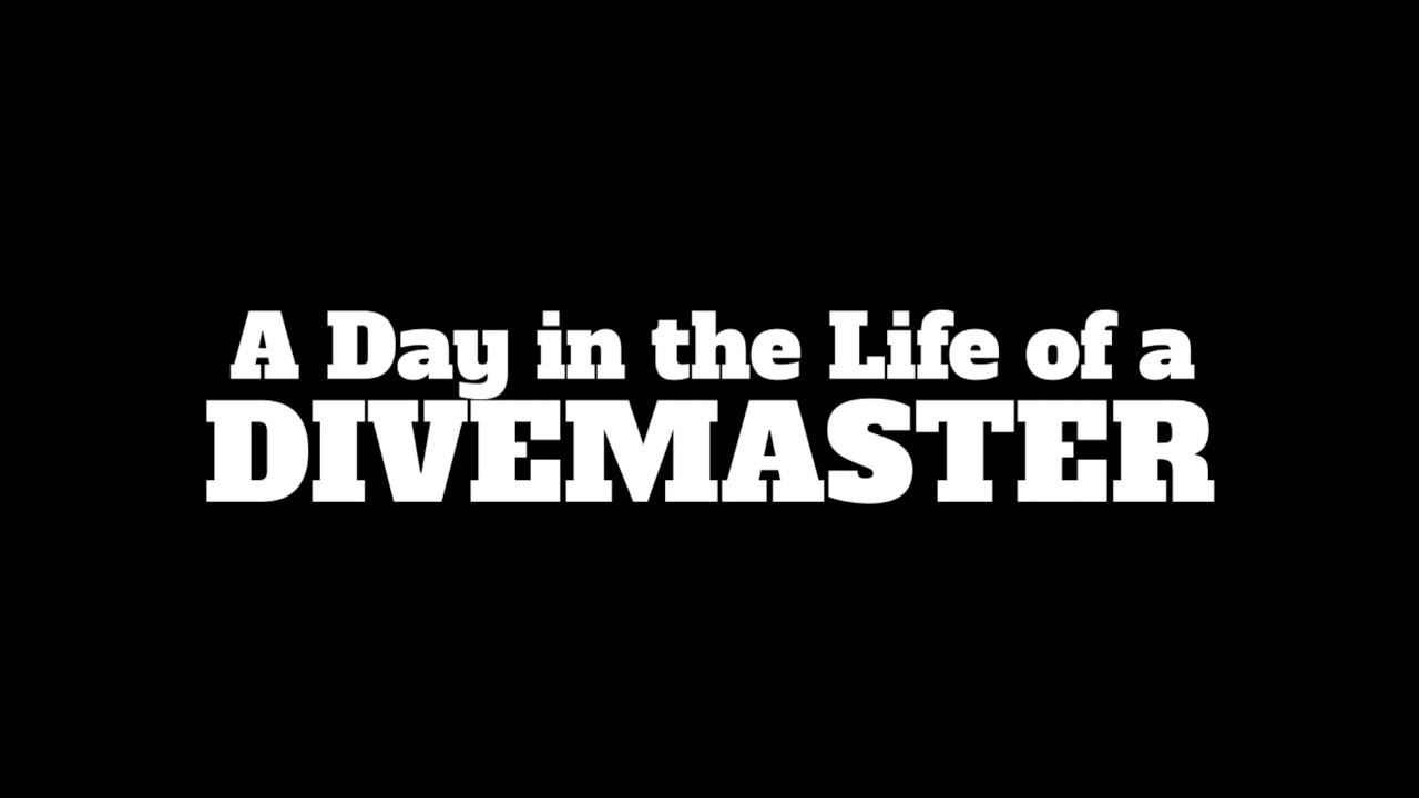 A day in the life of a Divemaster Malta 2015