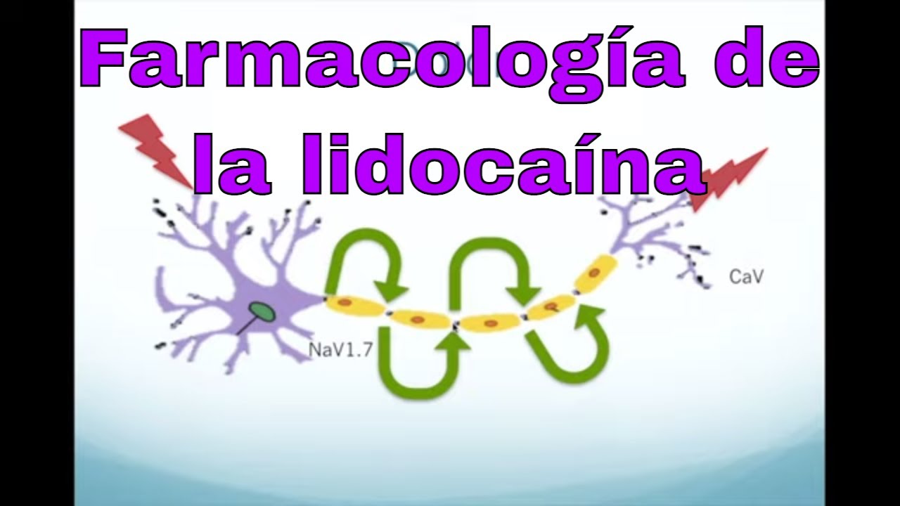 Farmacología de la lidocaína y otros anestésicos locales