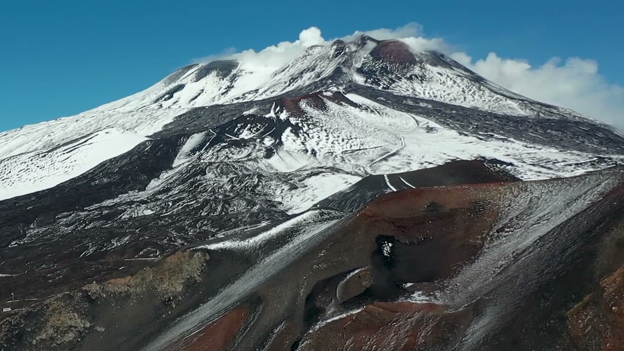 Che cos'è la biodiversità? | documentario breve