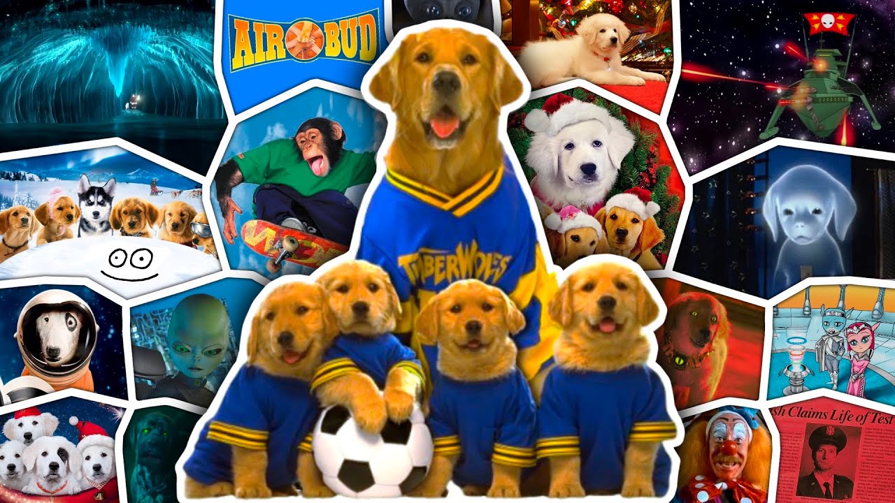 The Bizarre Lore of Air Bud