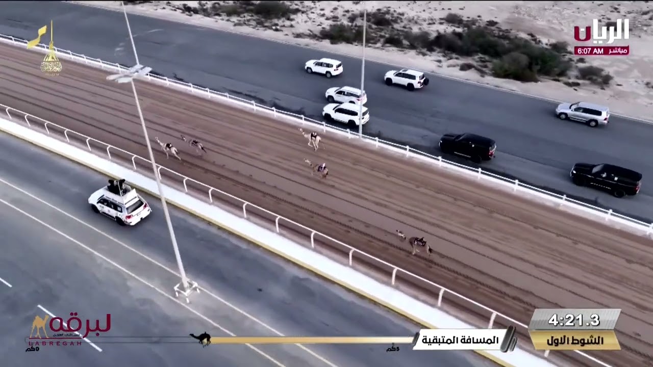 ش1 الشعبية لـ هجن الشحانية (جارالله محمد بن عقيل) مهرجان المؤسس 14-12-2024ص لقايا بكار مفتوح 7:38:34