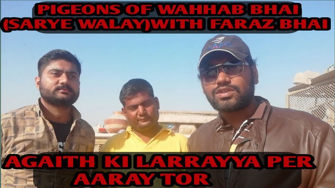 Pigeons of Wahhab Bhai Sarye walay with Faraz Bhai(agaith ki Larrayya)