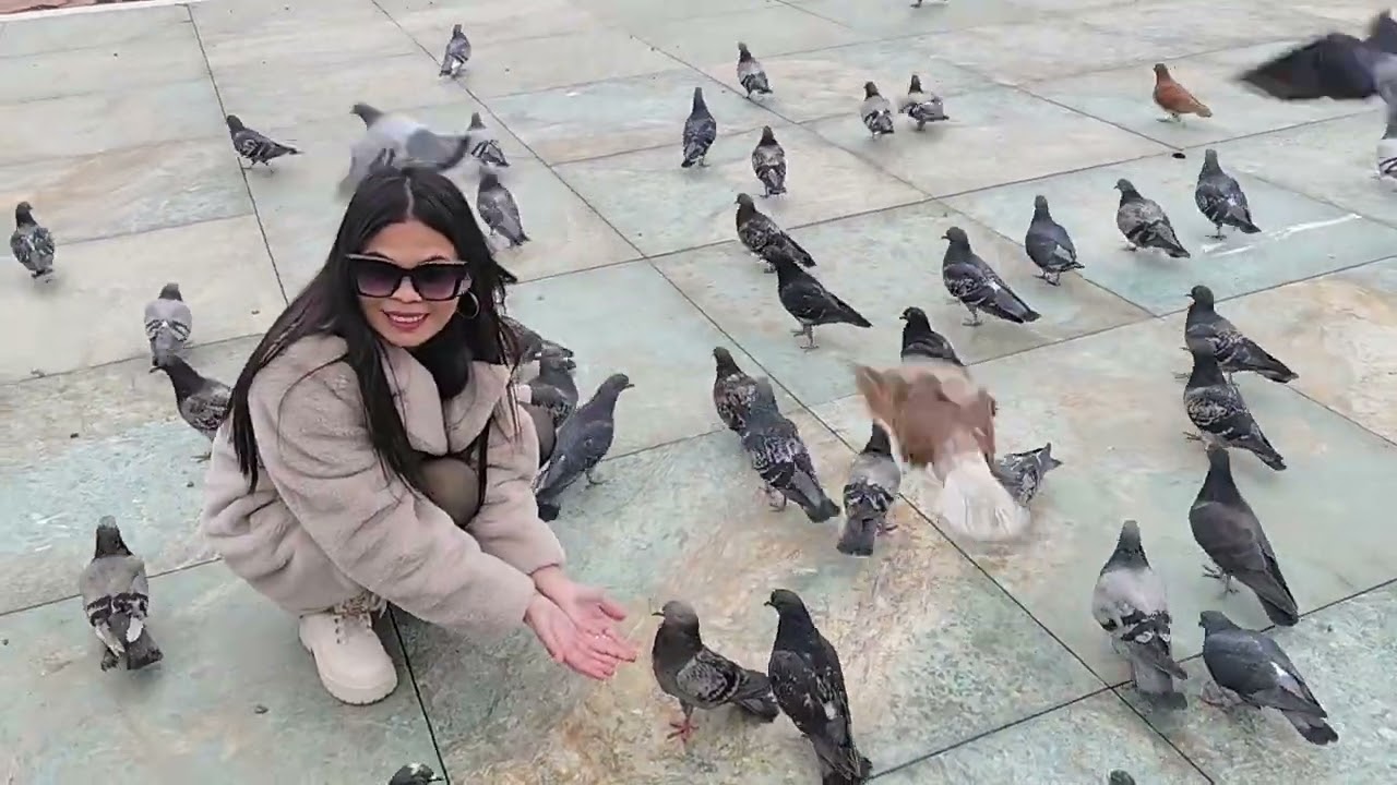 Timisoara