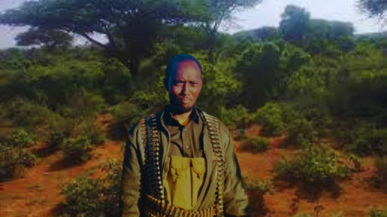 Oromo iyo Hadday soo wateen hayb lagaran waayo !! Gabay Cajiib ah Abwan Cali Cawil Maxamed