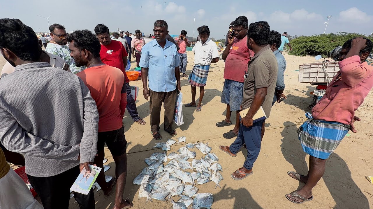 மீன்களுக்கு செம விலை பயங்கரமா மீன்கள் விற்பனை ஆகுது Fish are being sold at exorbitant prices.