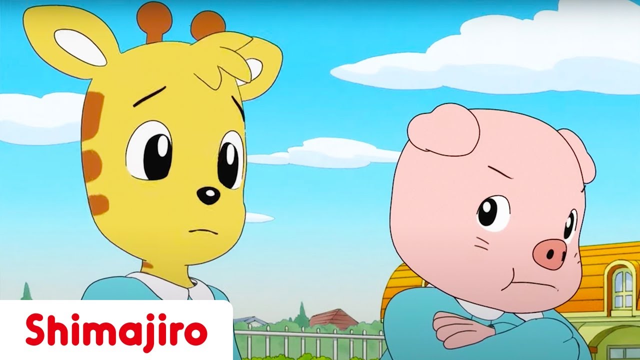 Sometimes You Just Have to Say Sorry... 💫 | Kindergarten | Kids videos for kids | Shimajiro