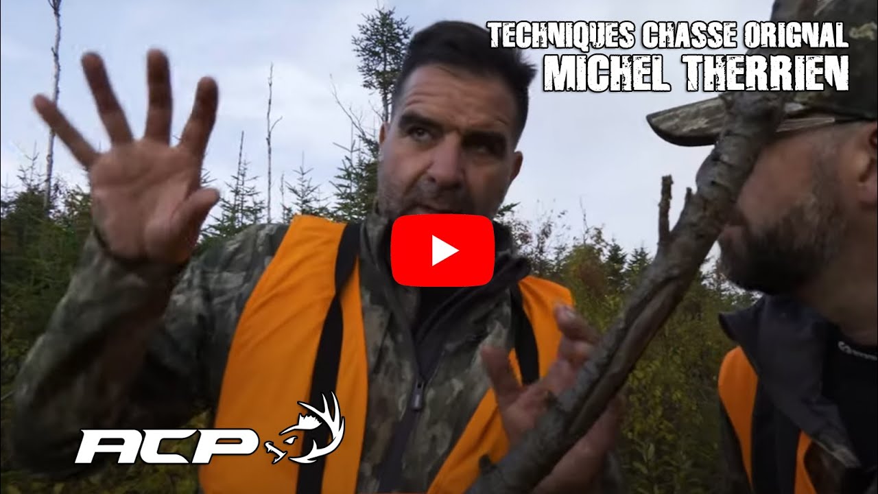 Techniques Chasse Orignal Michel Therrien Émission
