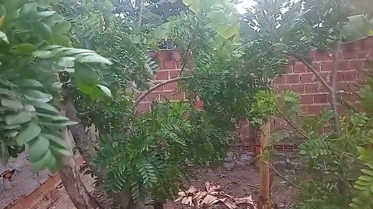 muita chuva vêm 🌧️ as nuvens bens cheias vai cair um toró de chuva 🌧️