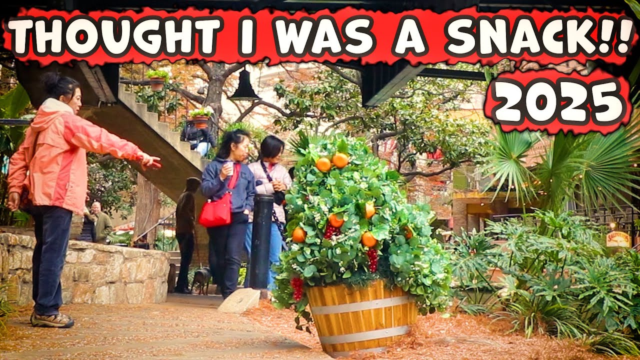 Bushman Prank: Courage to be Different (orange edition) 2025