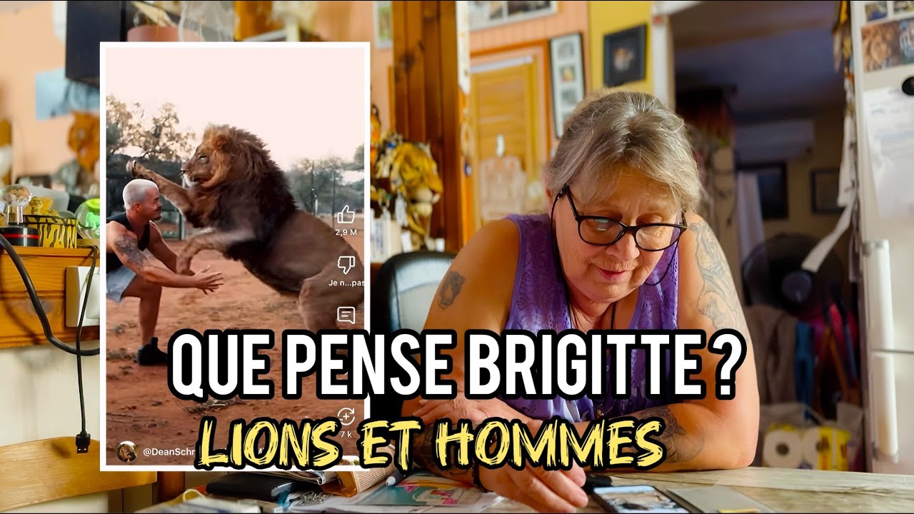 Une Experte des TIgres donne son avis sur des interactions entre Fauves et Hommes !