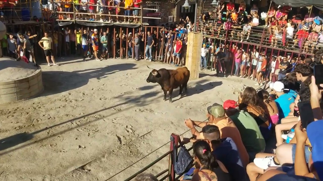 toros jaraiz de la vera