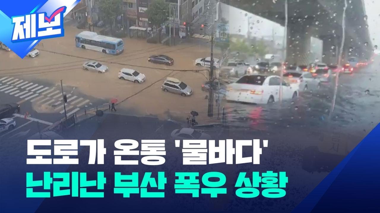 [제보] 도로가 온통 ‘물바다’…난리난 부산 폭우 상황 / KBS 2024.09.21.