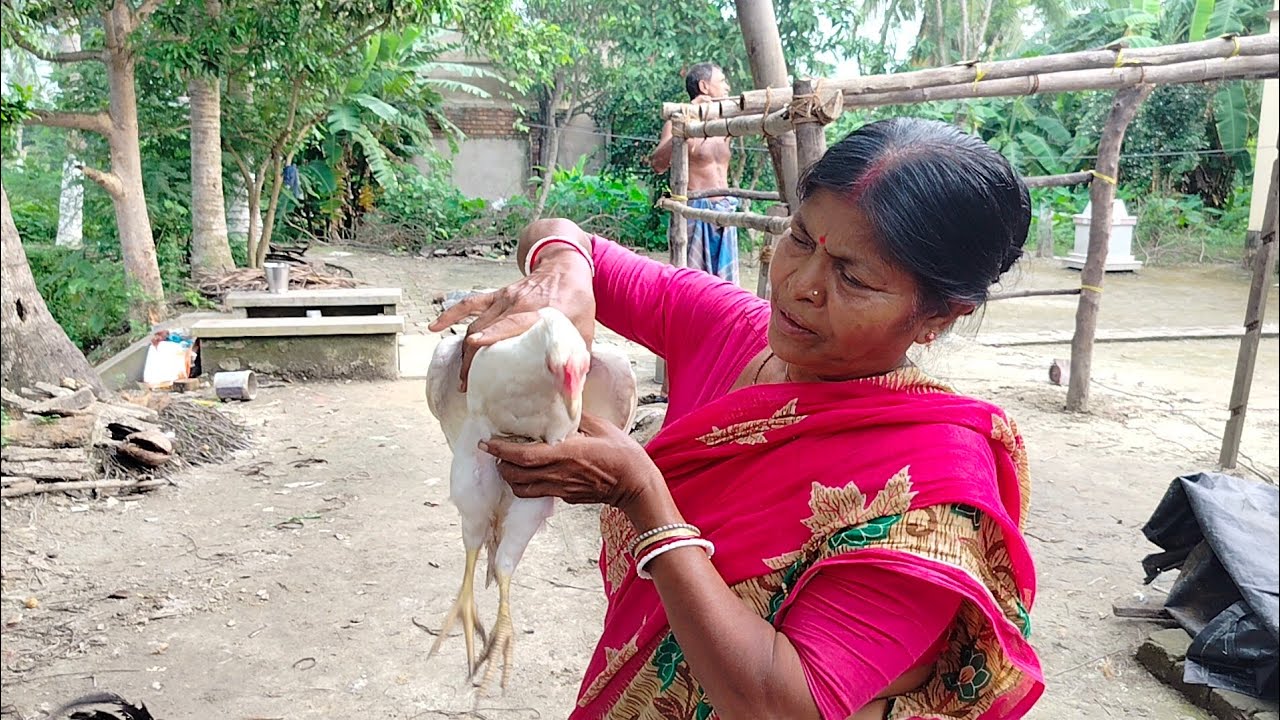 🐤👍বলুনতো বন্ধুরা মা আজ কটি মুরগি ধরেছে 🐔🐤? এই সুন্দর ভিডিওটি তোমাদের কেমন লাগছে 👍🐔#viralvideo #🐔👍