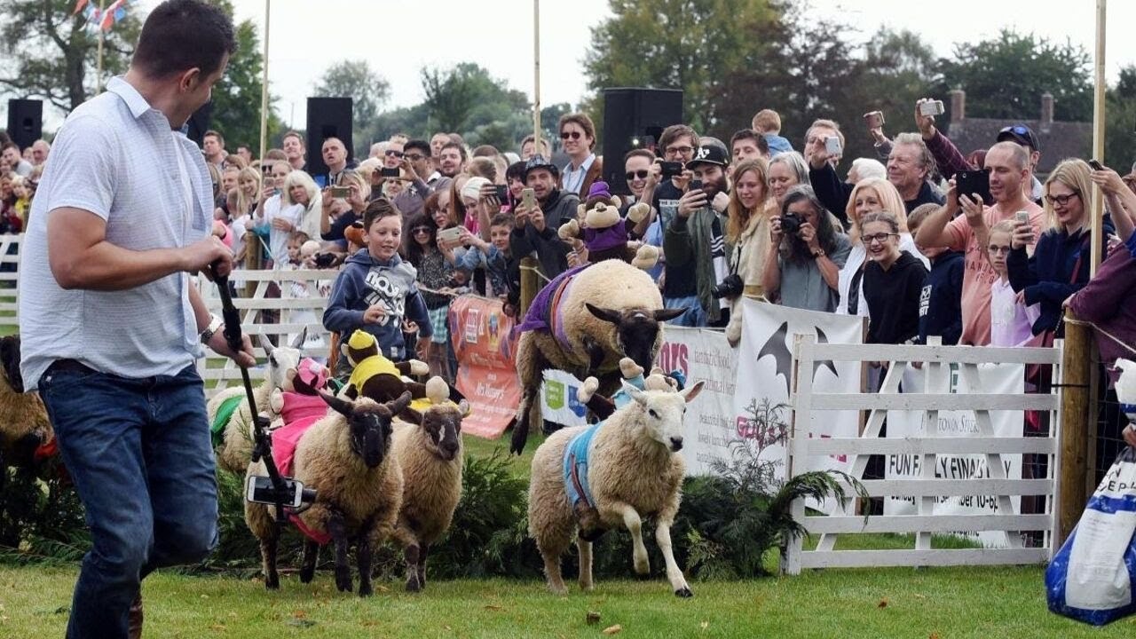 15.09.2019 // Sheep Racing and Family Fun @ Frampton Park | The Vlog